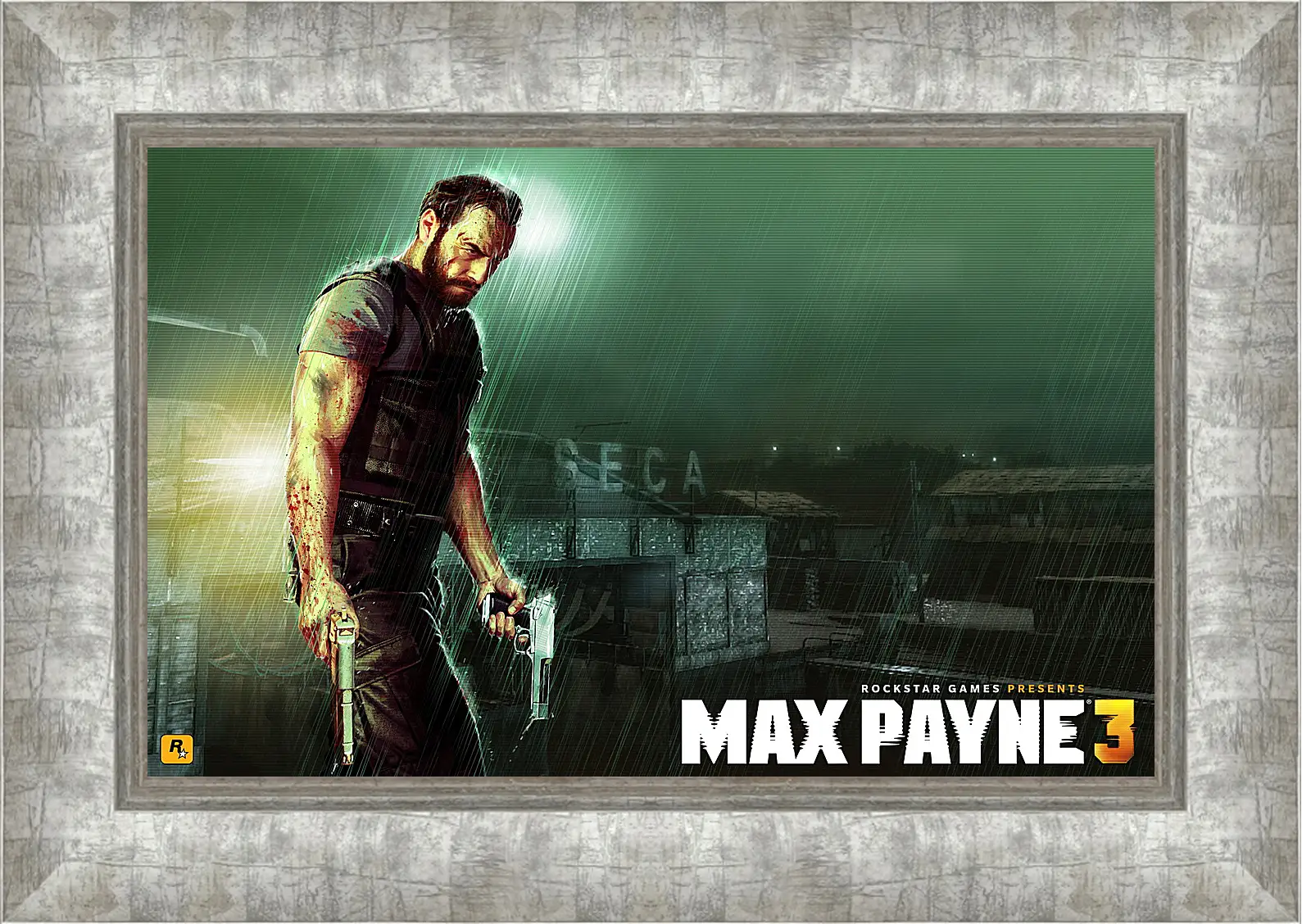 Картина в раме - Max Payne
