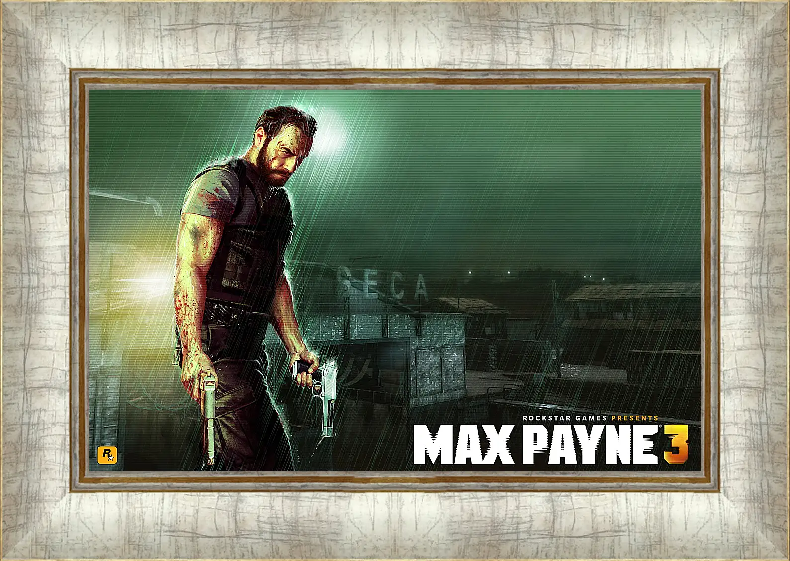 Картина в раме - Max Payne
