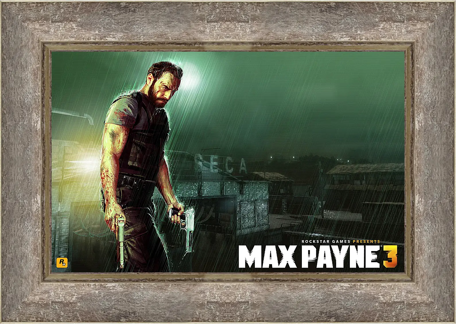 Картина в раме - Max Payne
