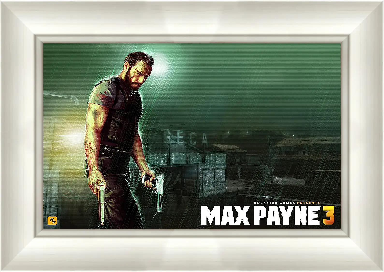 Картина в раме - Max Payne
