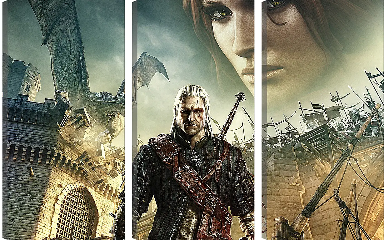 Модульная картина - The Witcher 2: Assassins Of Kings