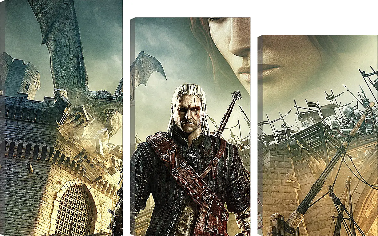 Модульная картина - The Witcher 2: Assassins Of Kings