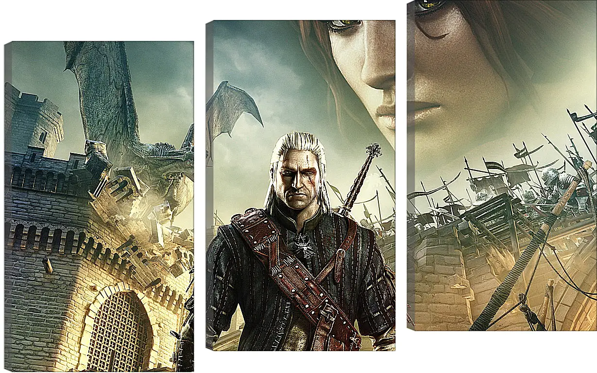 Модульная картина - The Witcher 2: Assassins Of Kings