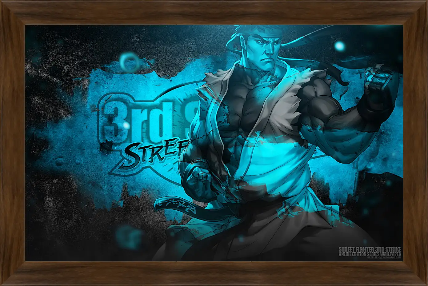 Картина в раме - Street Fighter
