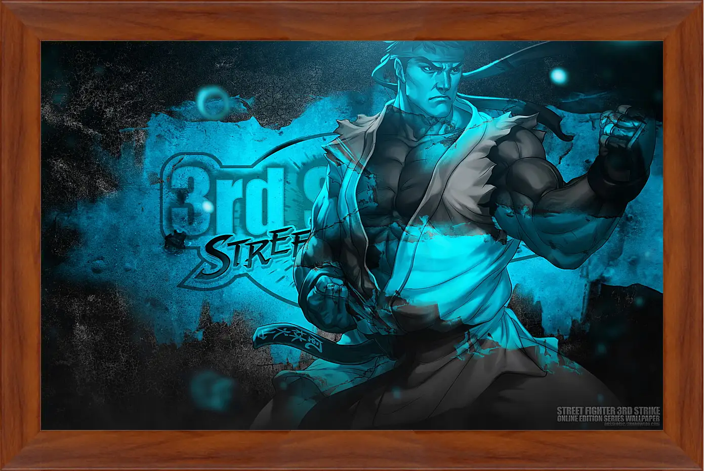 Картина в раме - Street Fighter
