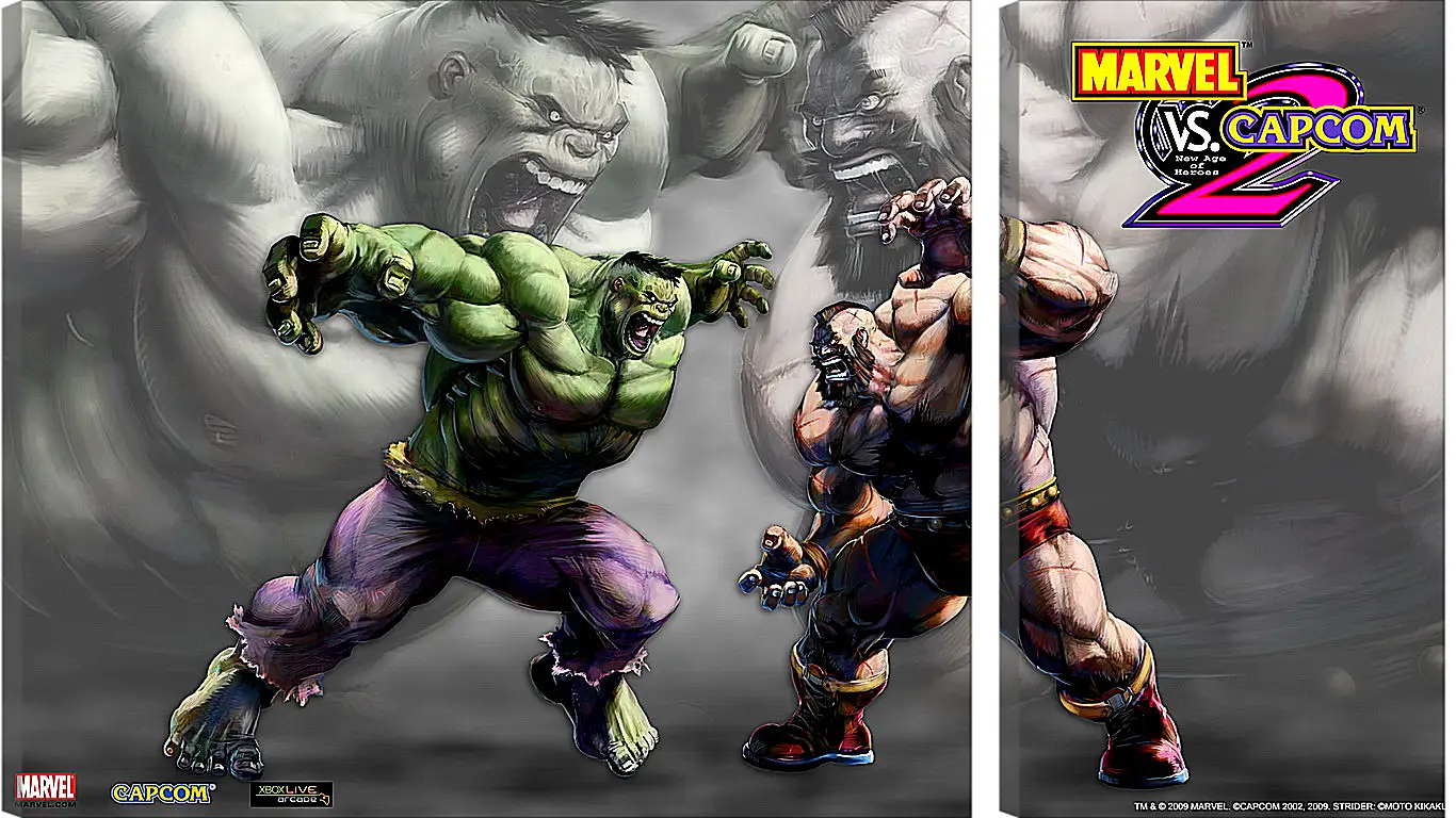 Модульная картина - Marvel Vs. Capcom 2
