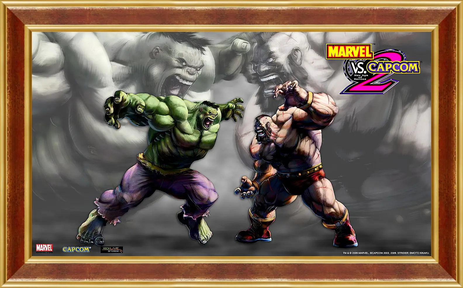 Картина в раме - Marvel Vs. Capcom 2
