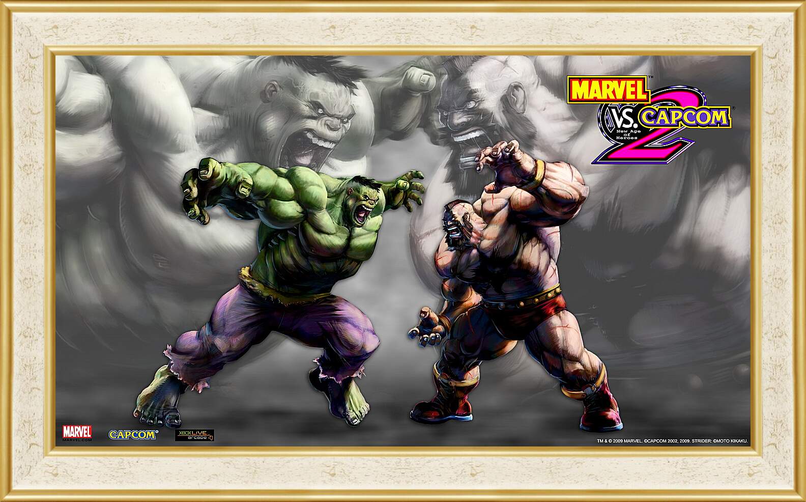 Картина в раме - Marvel Vs. Capcom 2

