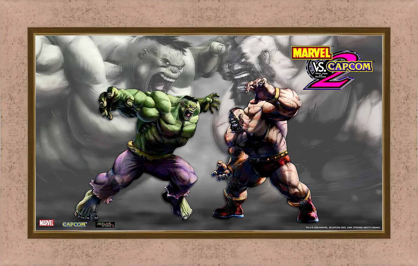 Картина в раме - Marvel Vs. Capcom 2
