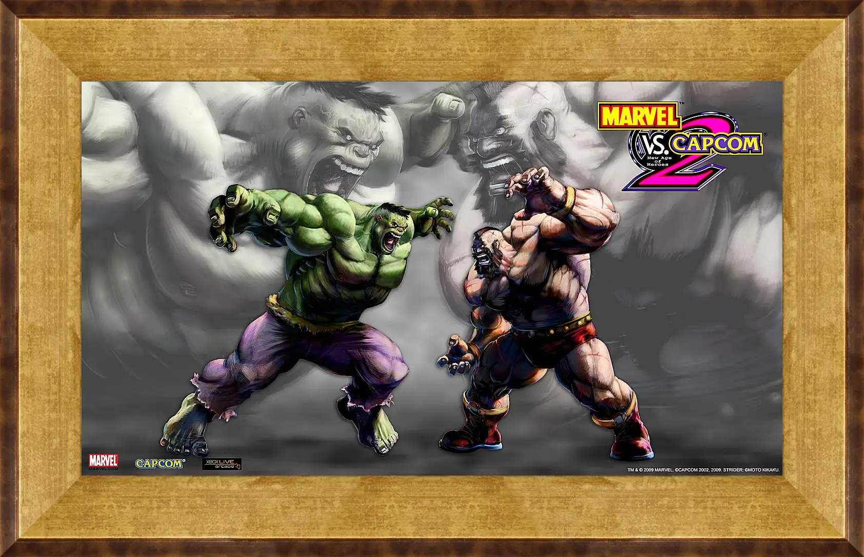 Картина в раме - Marvel Vs. Capcom 2
