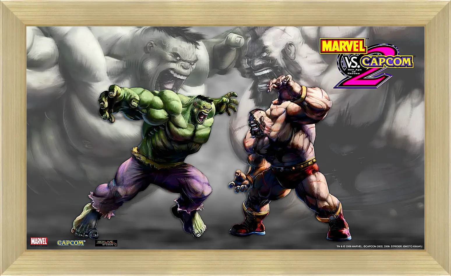 Картина в раме - Marvel Vs. Capcom 2
