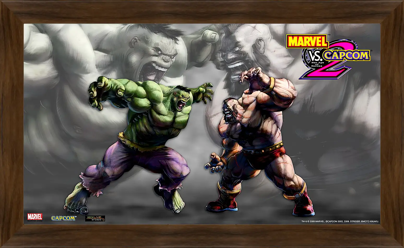 Картина в раме - Marvel Vs. Capcom 2
