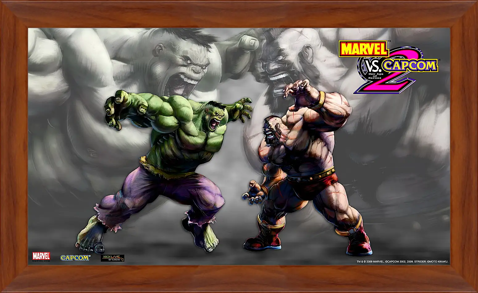 Картина в раме - Marvel Vs. Capcom 2
