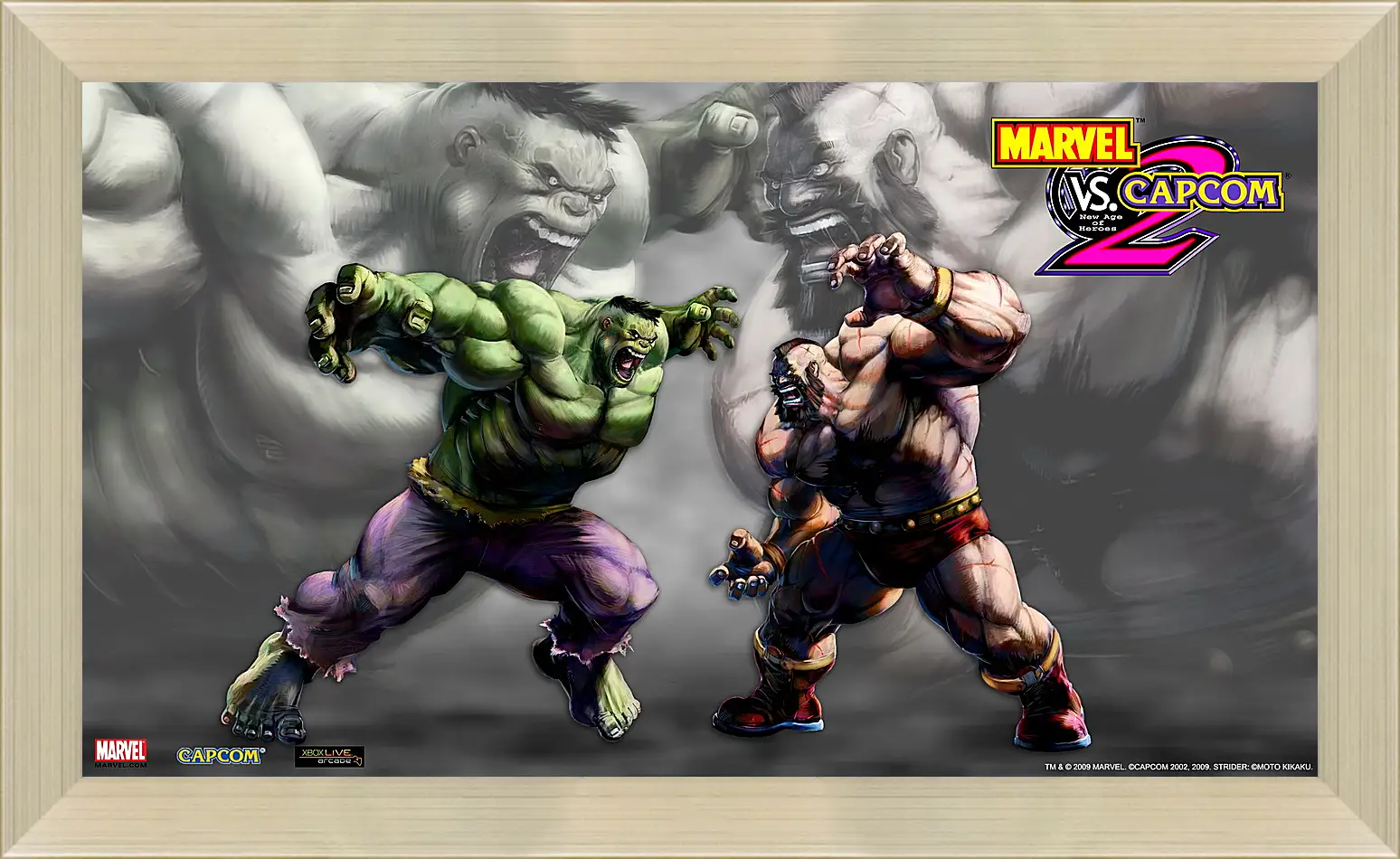 Картина в раме - Marvel Vs. Capcom 2
