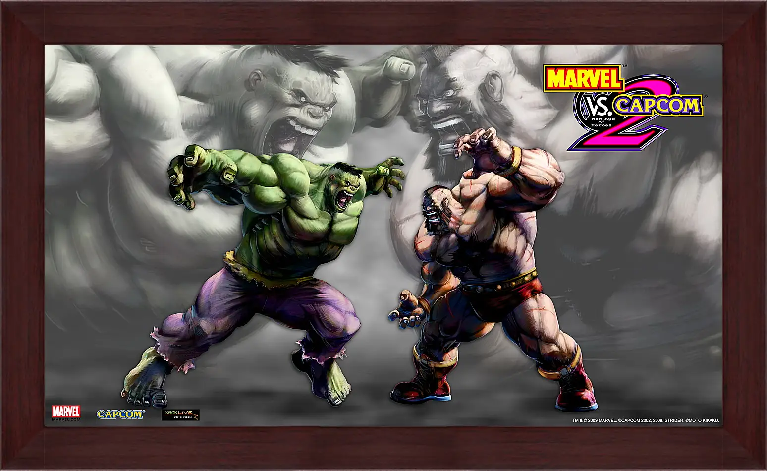 Картина в раме - Marvel Vs. Capcom 2
