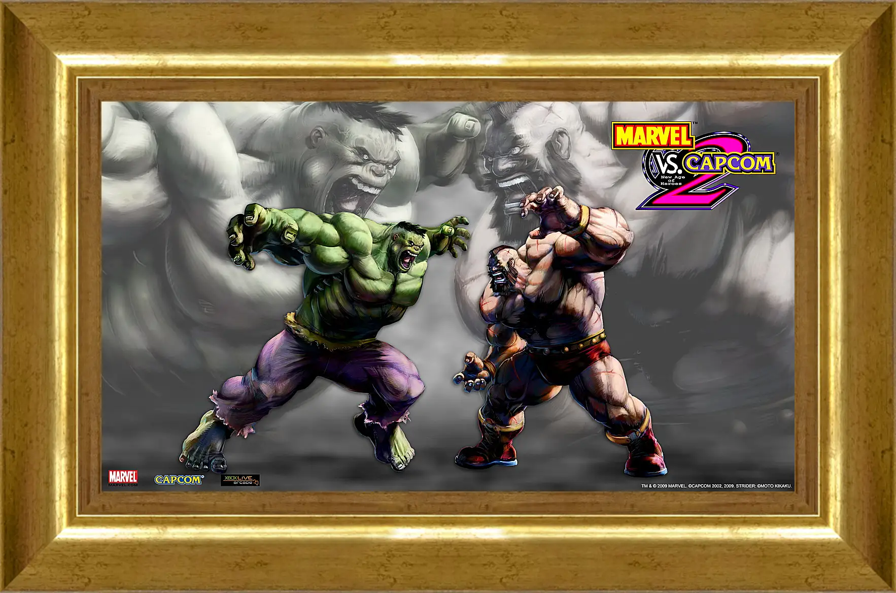 Картина в раме - Marvel Vs. Capcom 2
