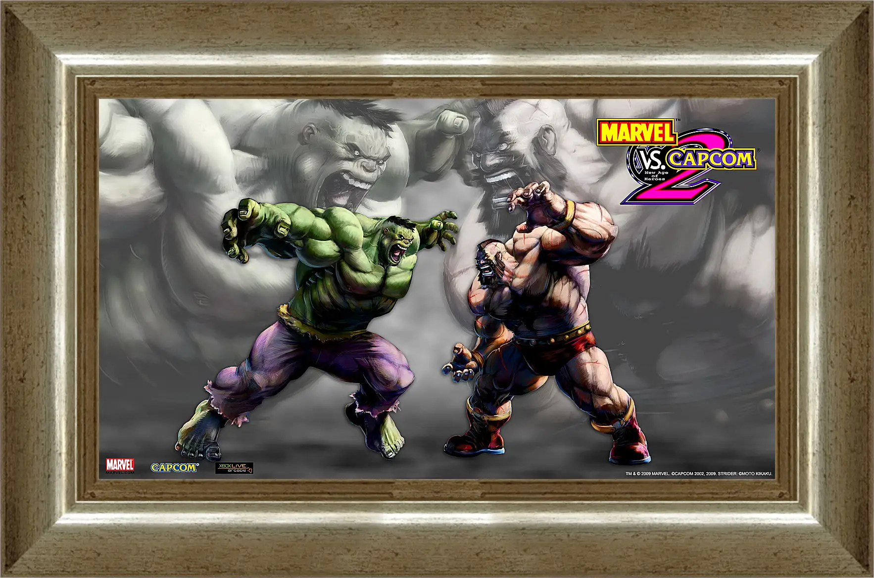 Картина в раме - Marvel Vs. Capcom 2
