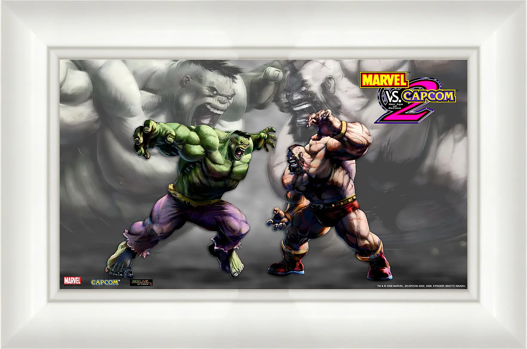 Картина в раме - Marvel Vs. Capcom 2
