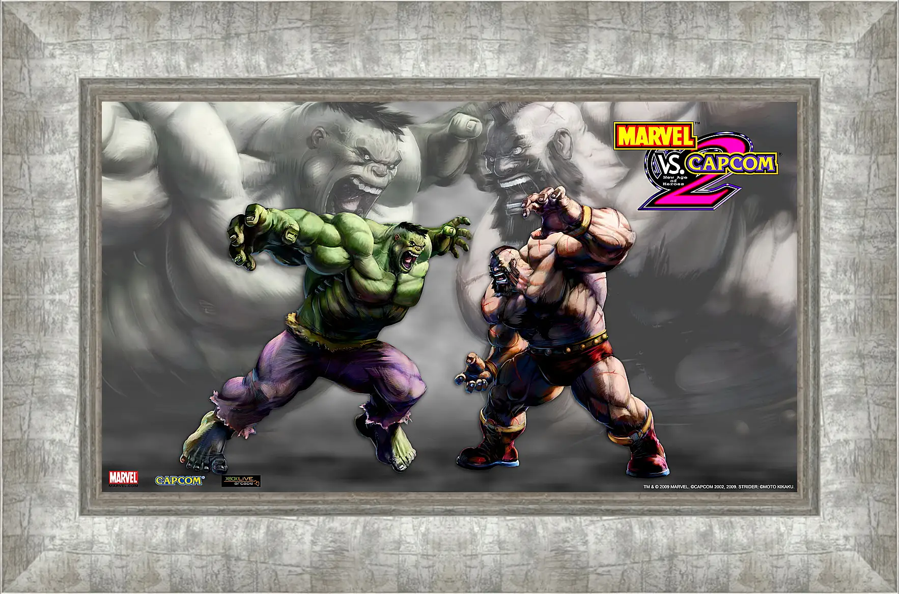 Картина в раме - Marvel Vs. Capcom 2
