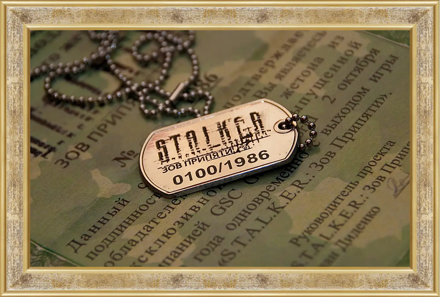 Картина в раме - S.T.A.L.K.E.R.
