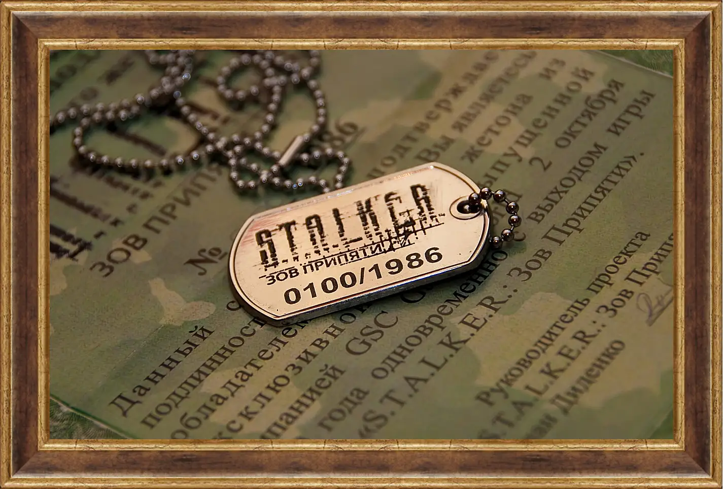 Картина в раме - S.T.A.L.K.E.R.
