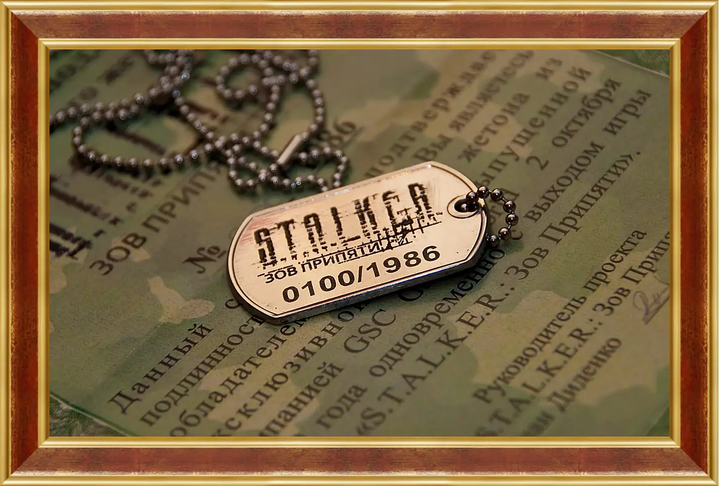 Картина в раме - S.T.A.L.K.E.R.
