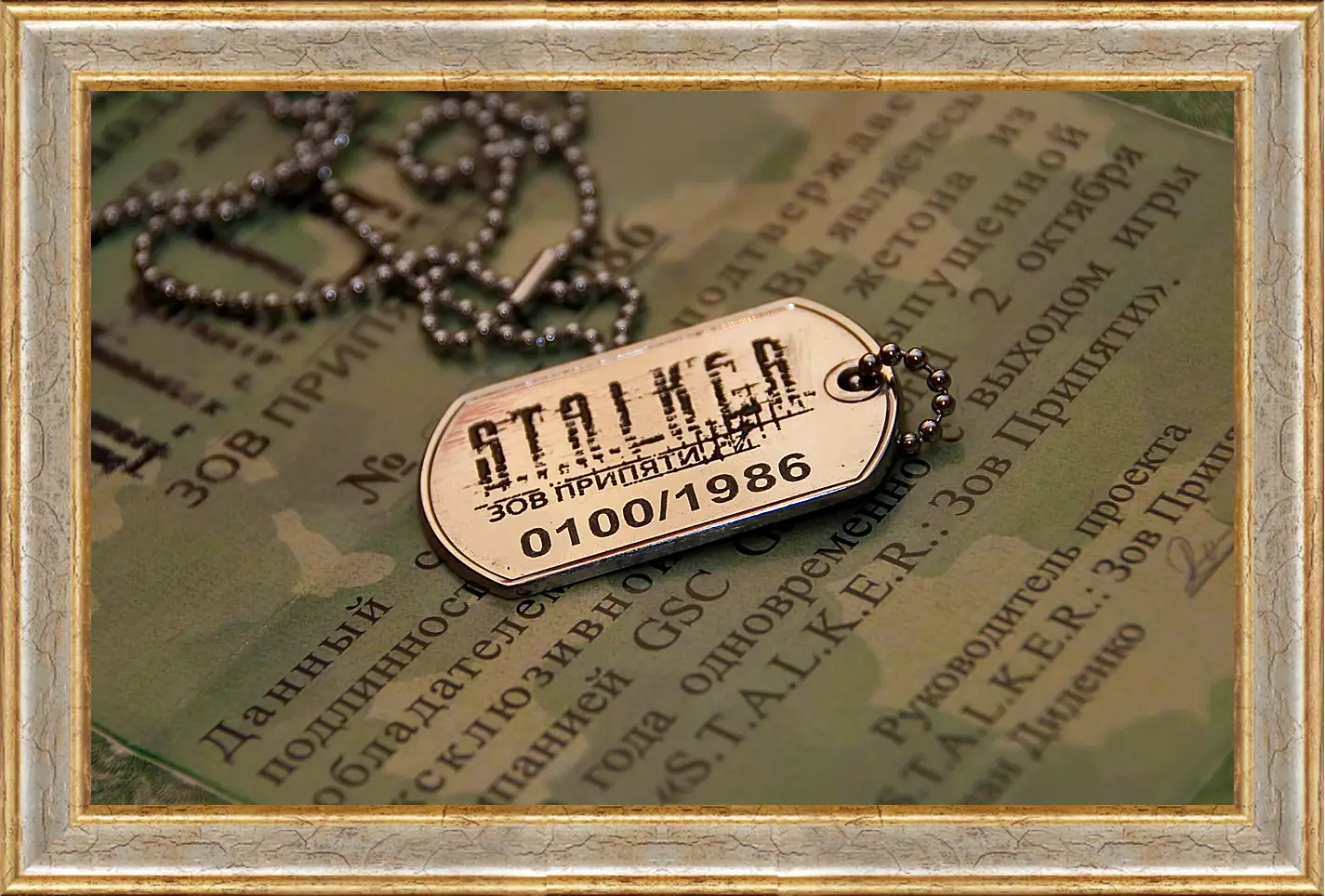 Картина в раме - S.T.A.L.K.E.R.
