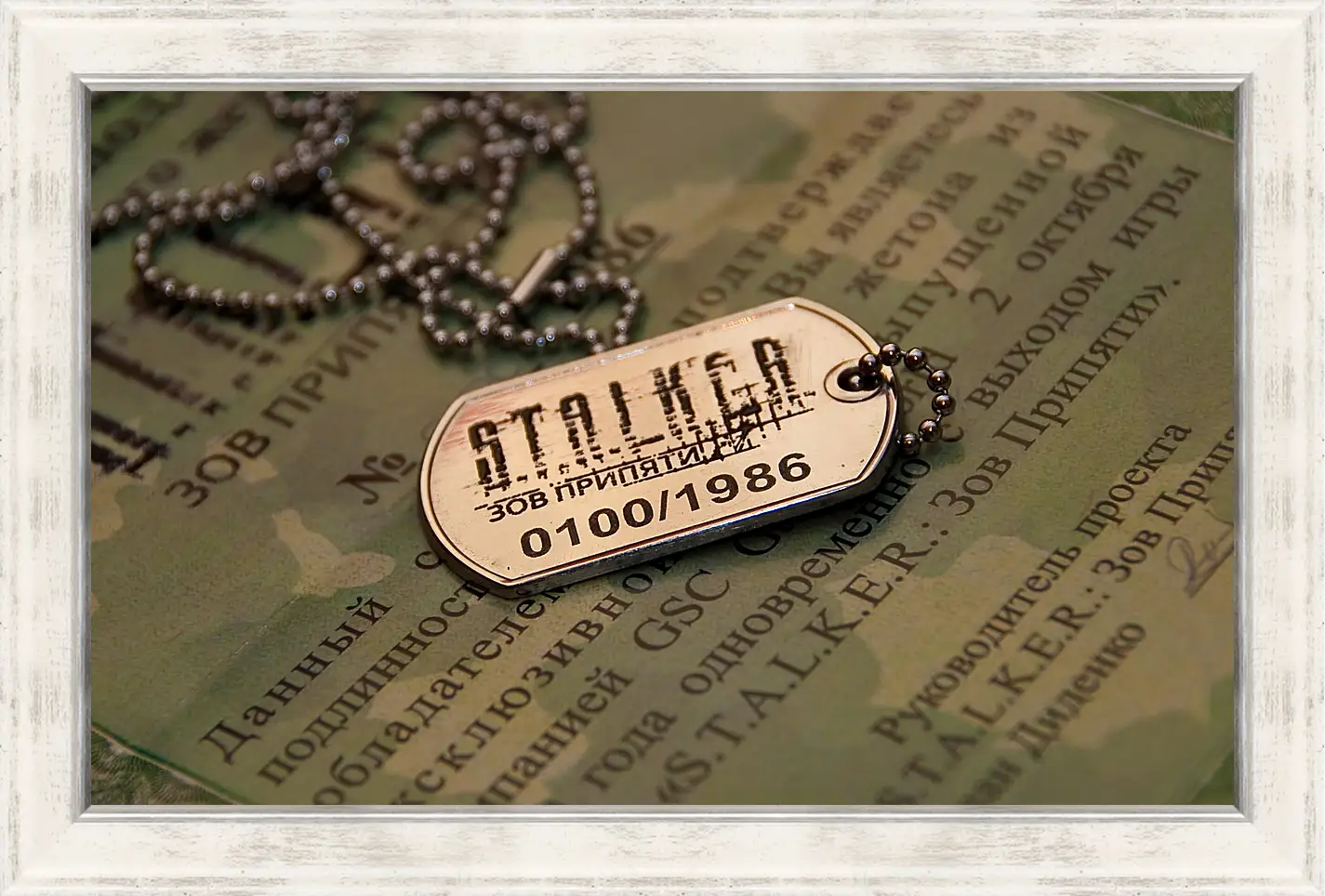 Картина в раме - S.T.A.L.K.E.R.
