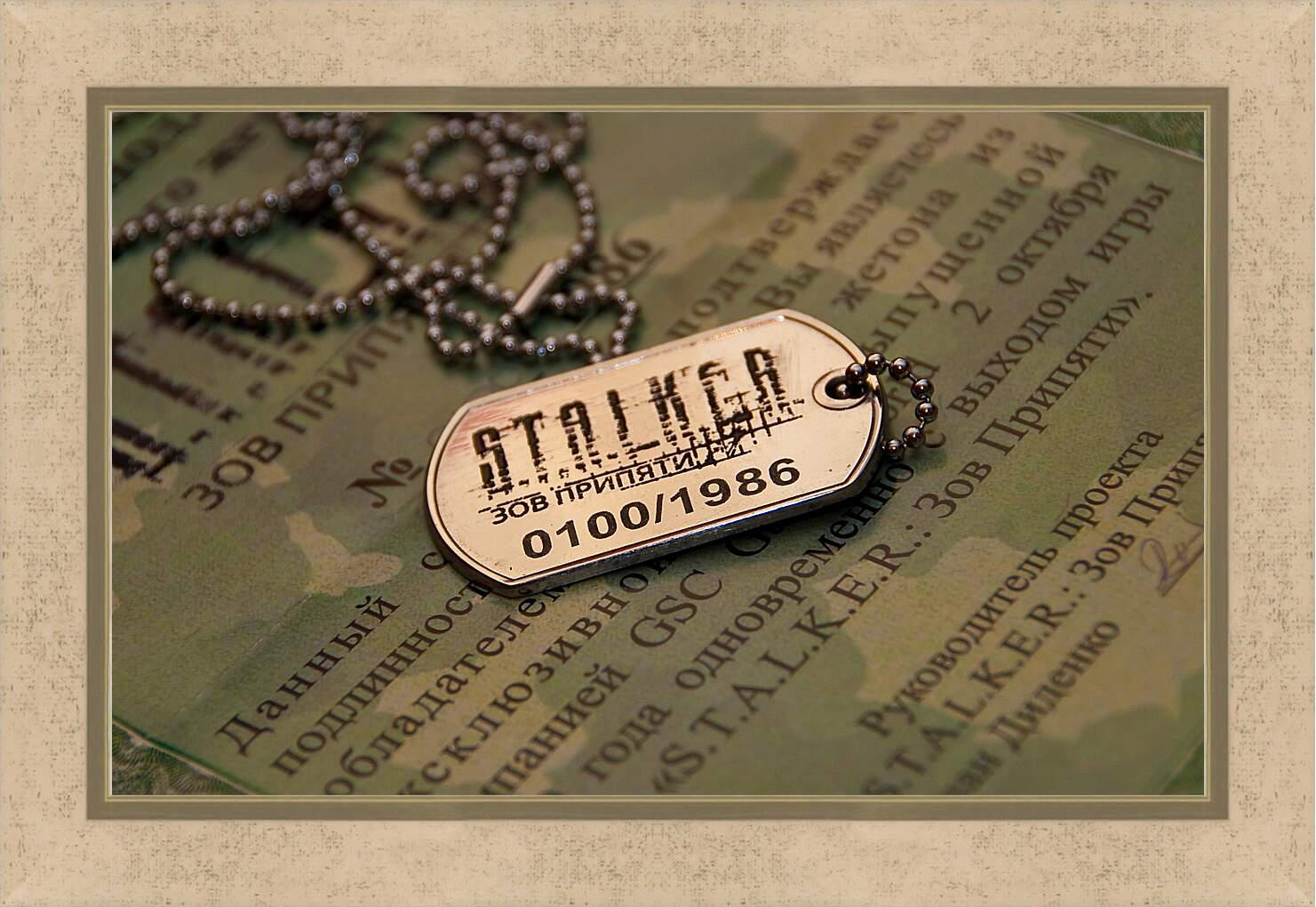 Картина в раме - S.T.A.L.K.E.R.
