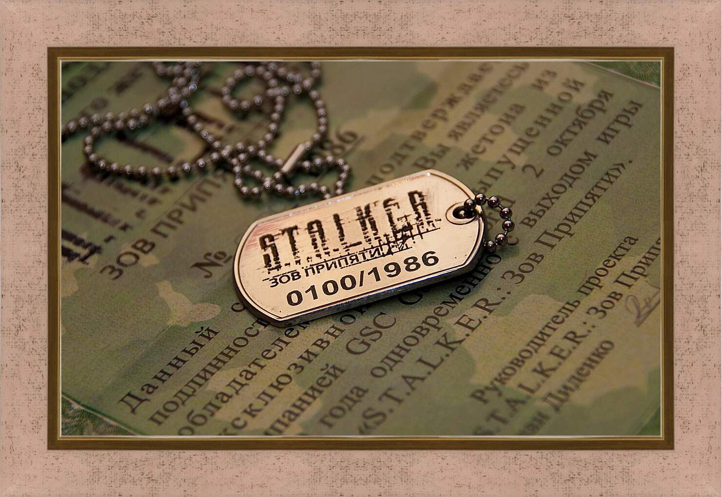 Картина в раме - S.T.A.L.K.E.R.
