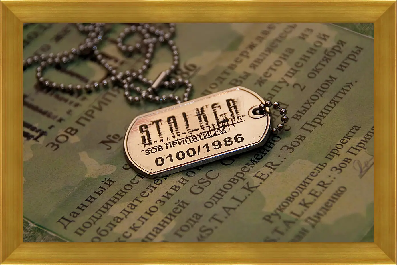 Картина в раме - S.T.A.L.K.E.R.
