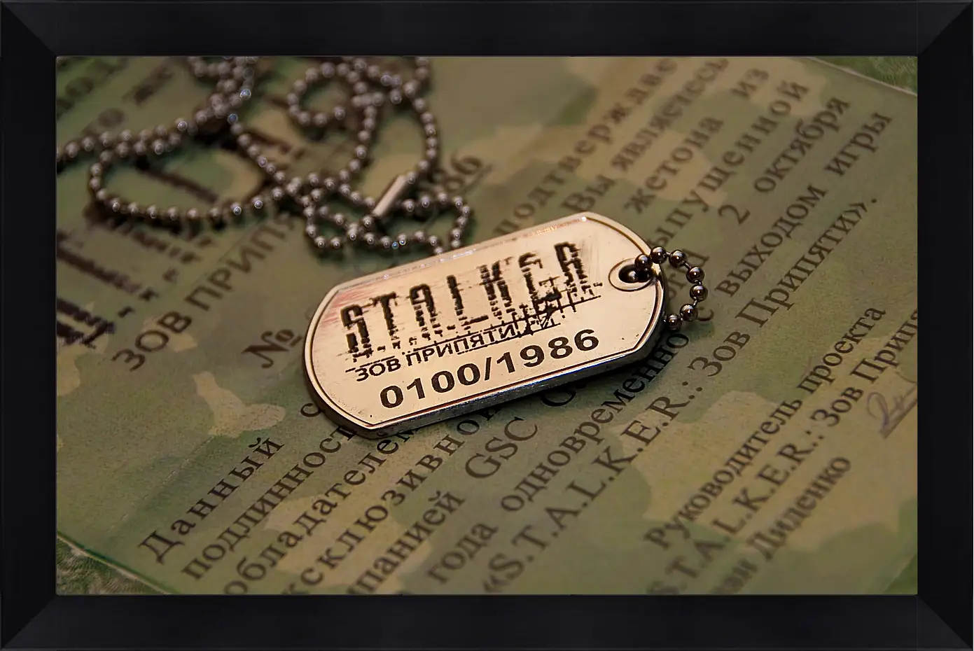 Картина в раме - S.T.A.L.K.E.R.
