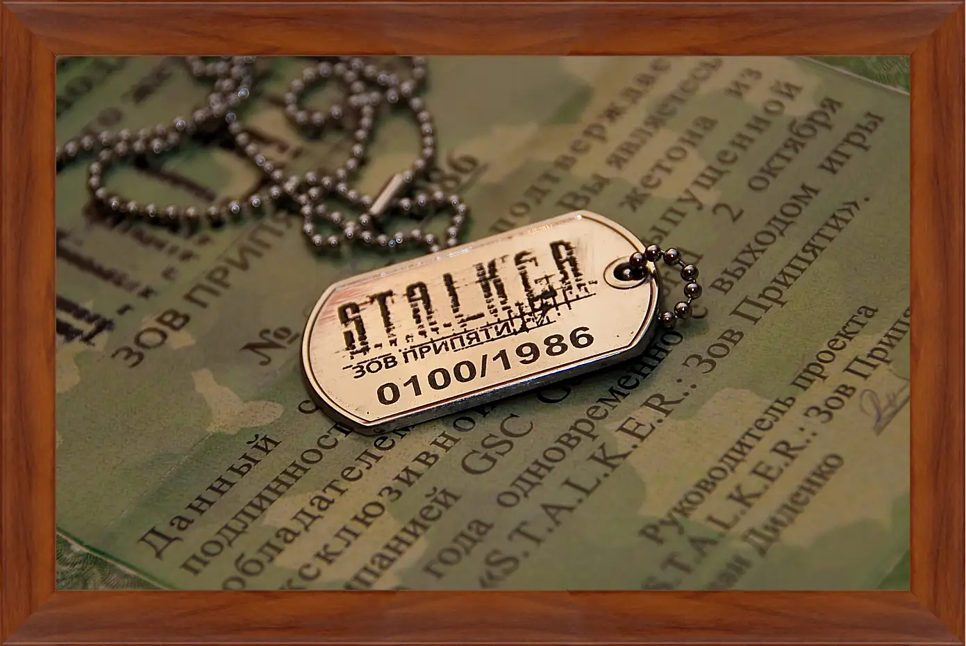 Картина в раме - S.T.A.L.K.E.R.
