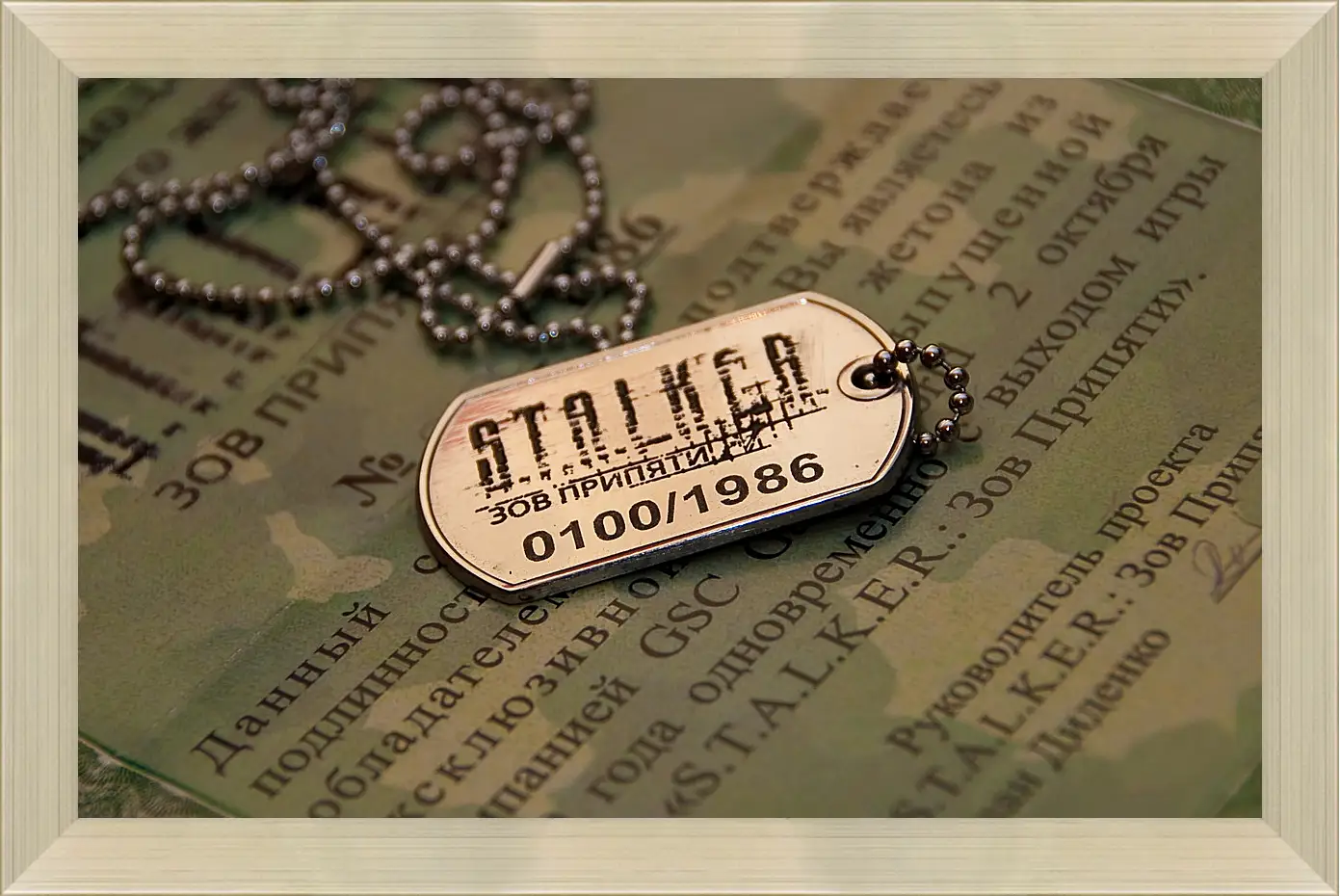 Картина в раме - S.T.A.L.K.E.R.
