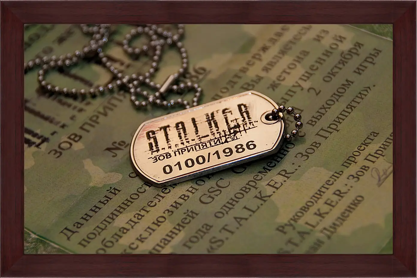 Картина в раме - S.T.A.L.K.E.R.
