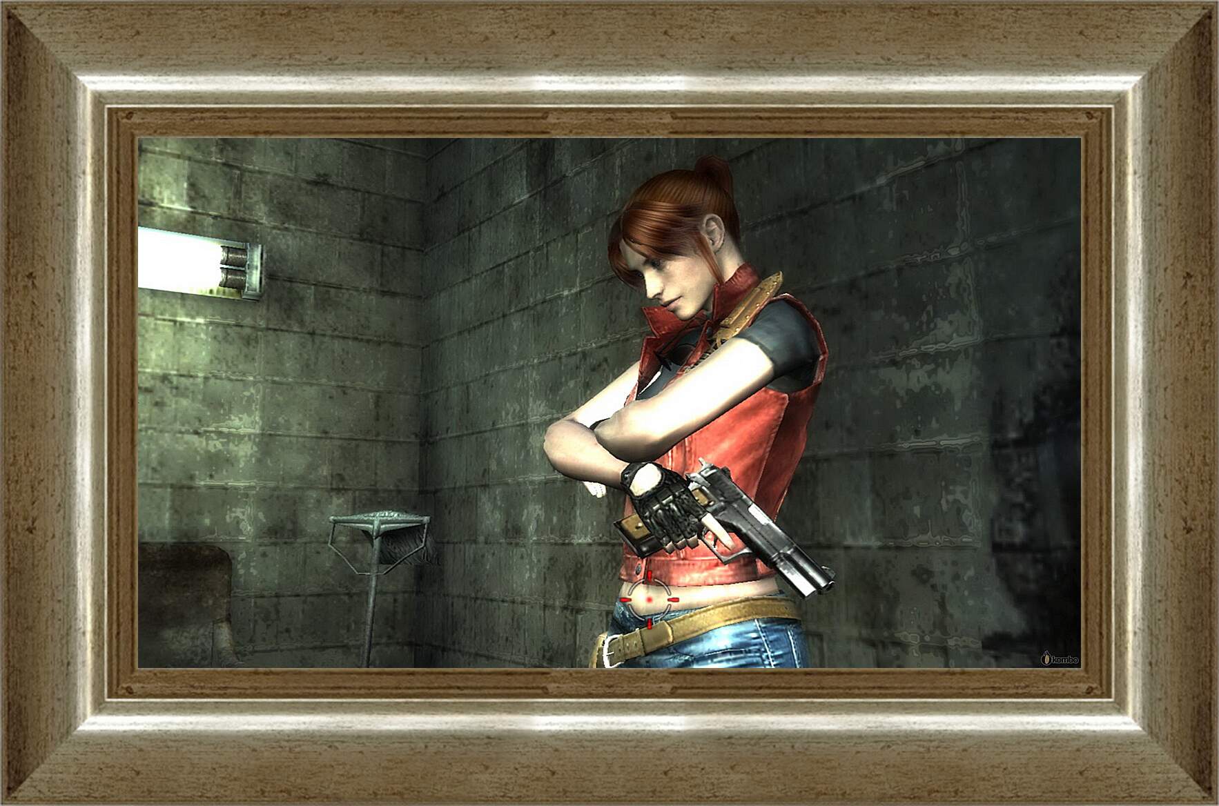 Картина в раме - Resident Evil: The Darkside Chronicles
