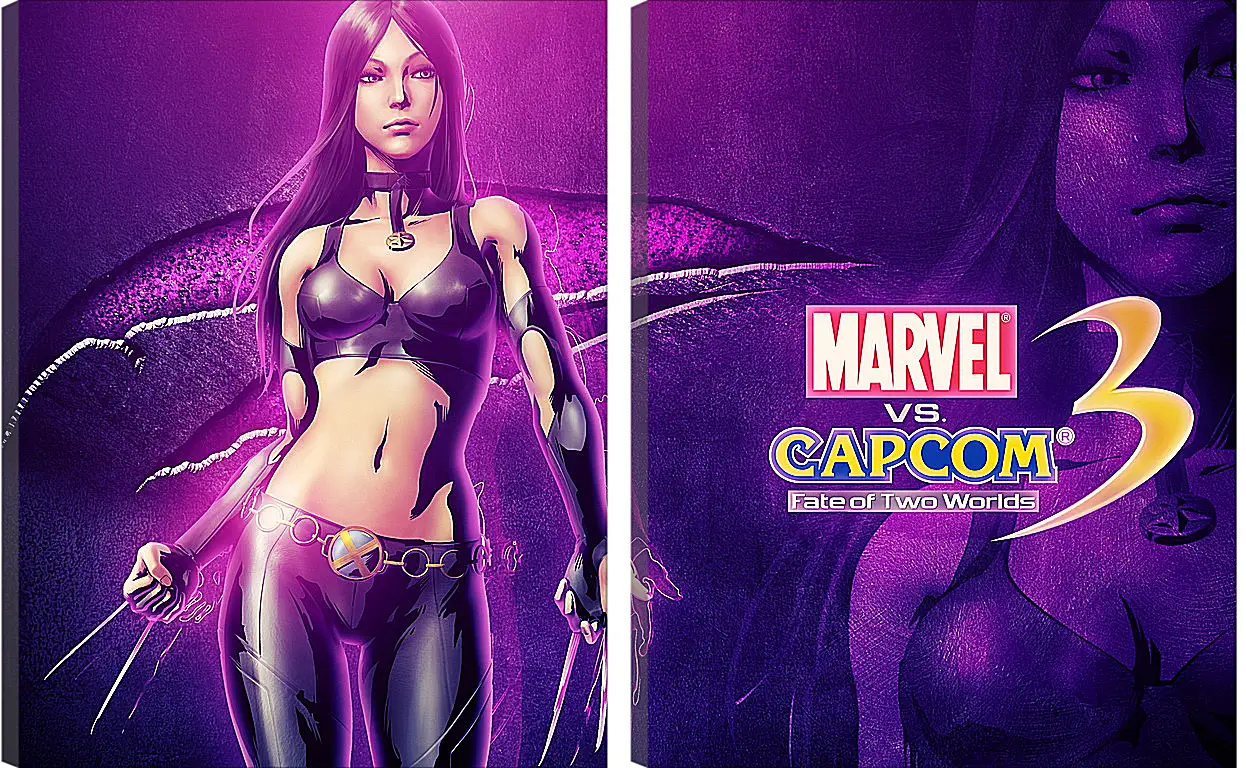 Модульная картина - Marvel Vs. Capcom 3: Fate Of Two Worlds
