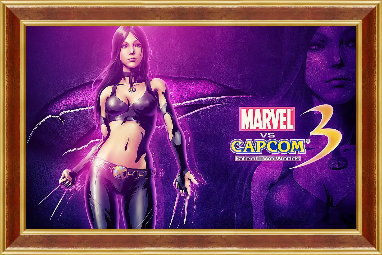 Картина в раме - Marvel Vs. Capcom 3: Fate Of Two Worlds
