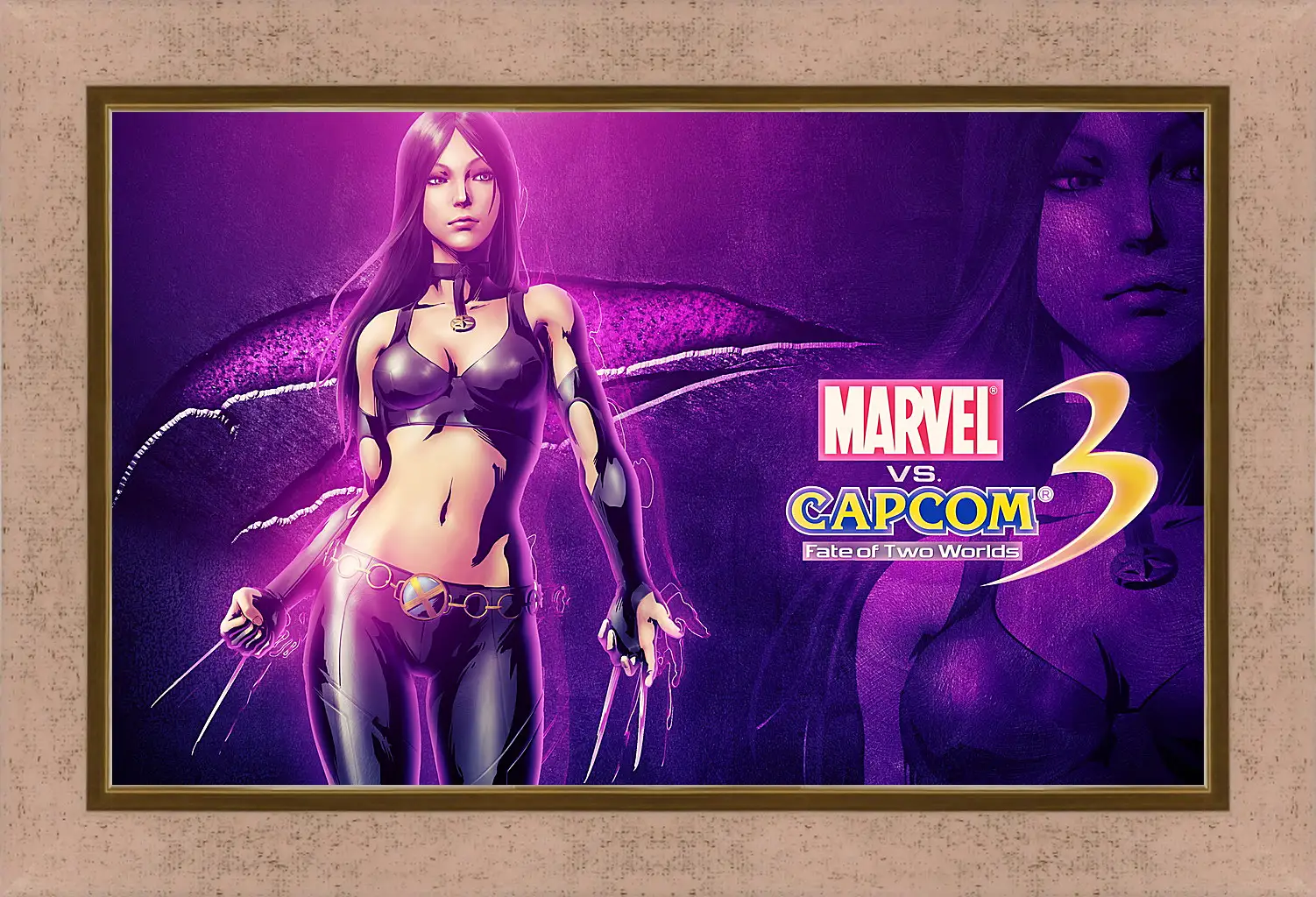 Картина в раме - Marvel Vs. Capcom 3: Fate Of Two Worlds
