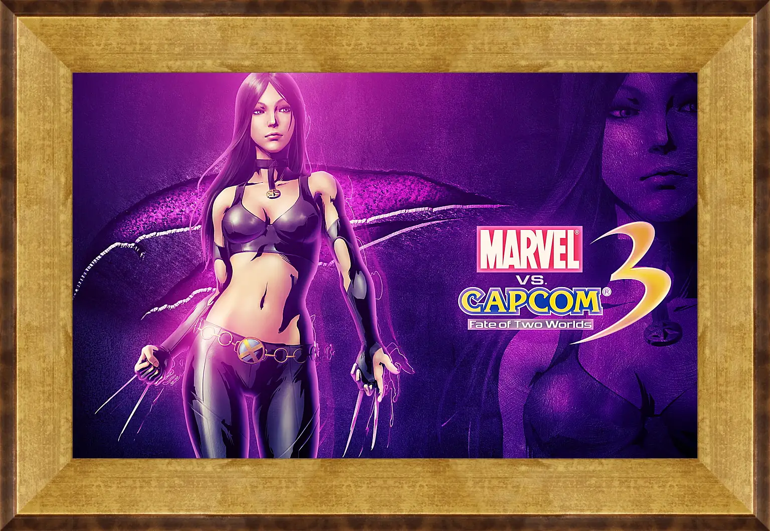 Картина в раме - Marvel Vs. Capcom 3: Fate Of Two Worlds
