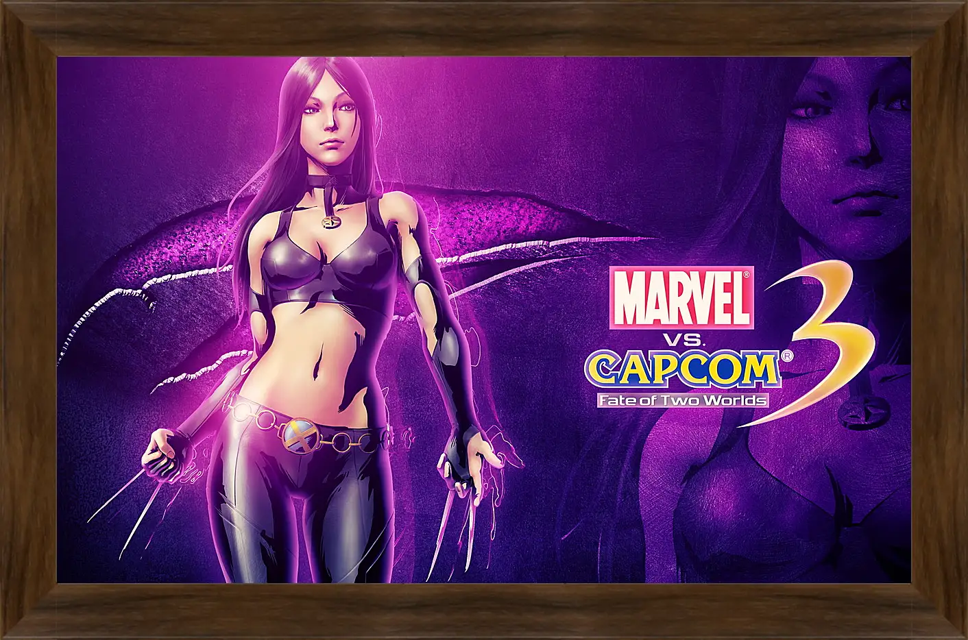 Картина в раме - Marvel Vs. Capcom 3: Fate Of Two Worlds
