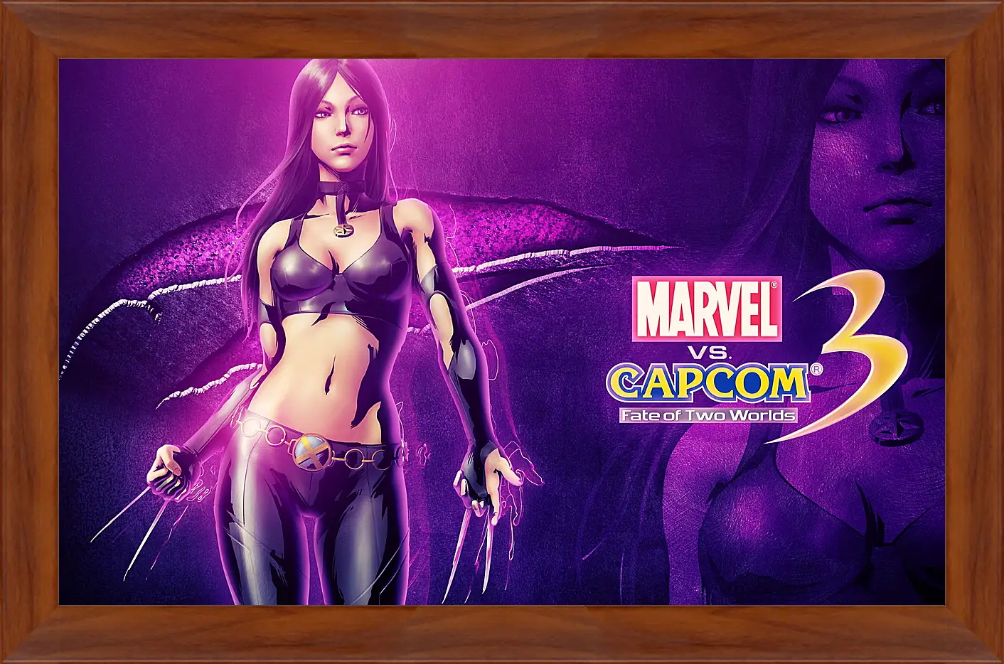 Картина в раме - Marvel Vs. Capcom 3: Fate Of Two Worlds
