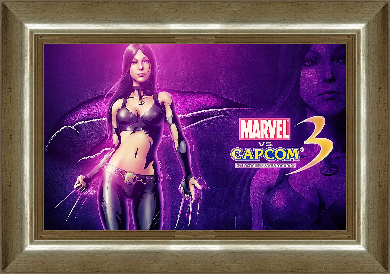 Картина в раме - Marvel Vs. Capcom 3: Fate Of Two Worlds
