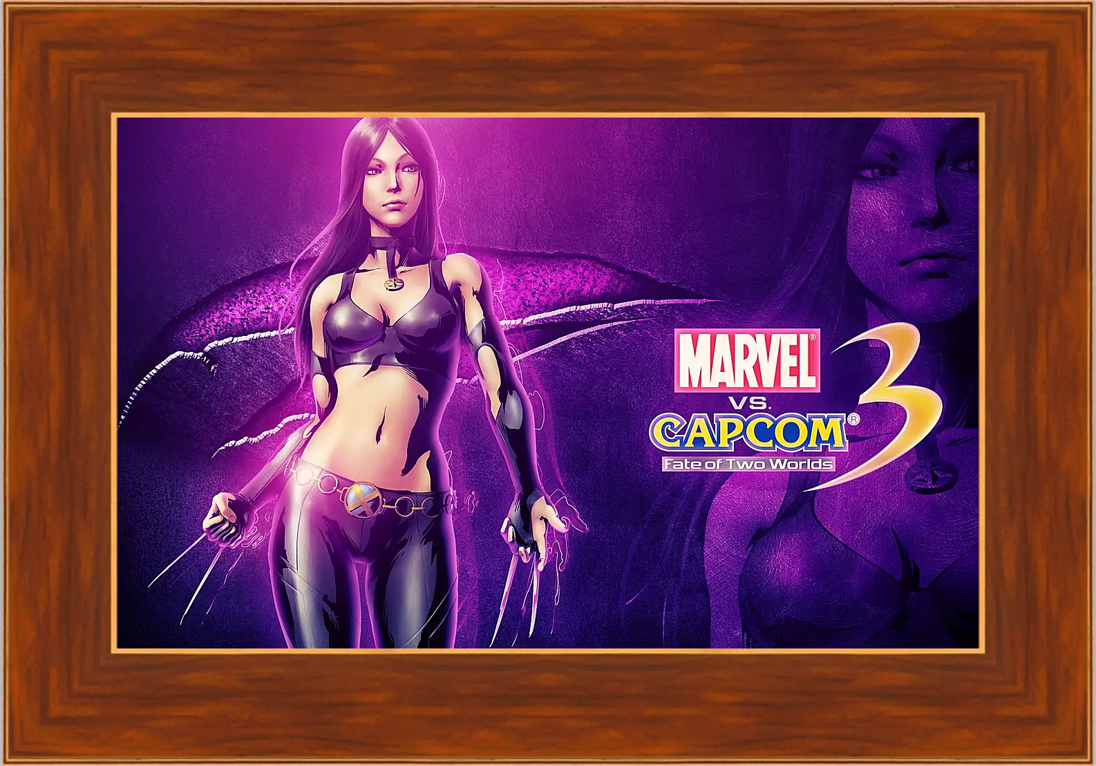 Картина в раме - Marvel Vs. Capcom 3: Fate Of Two Worlds
