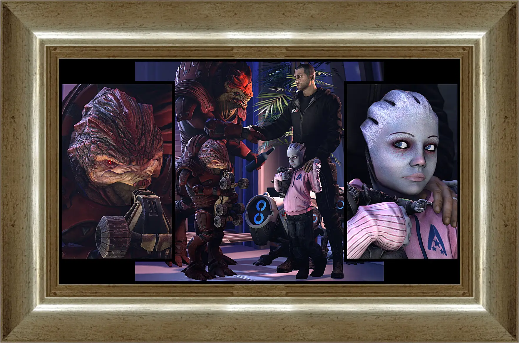 Картина в раме - Mass Effect