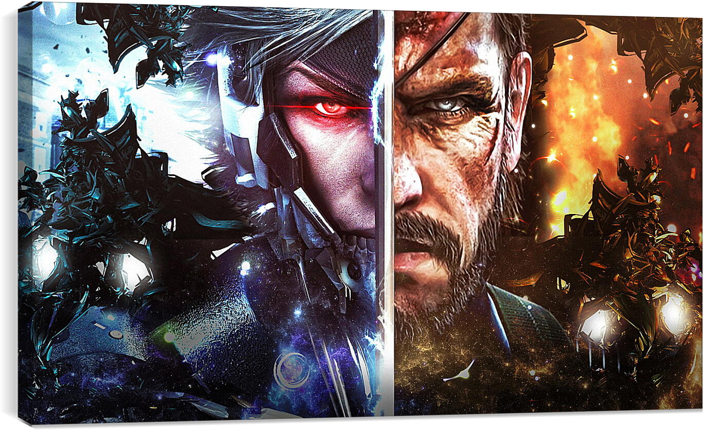 Постер и плакат - Metal Gear Rising: Revengeance