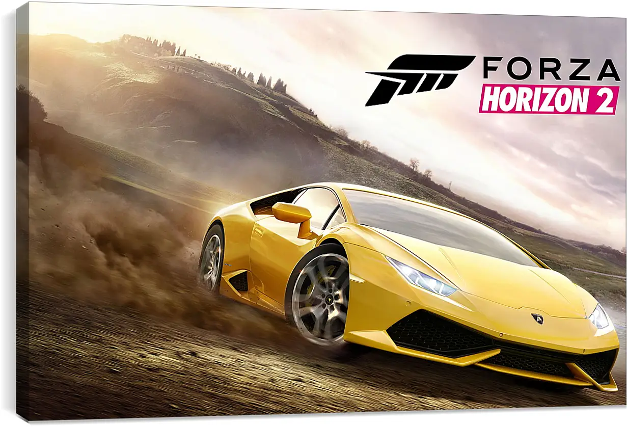 Постер и плакат - Forza Horizon 2
