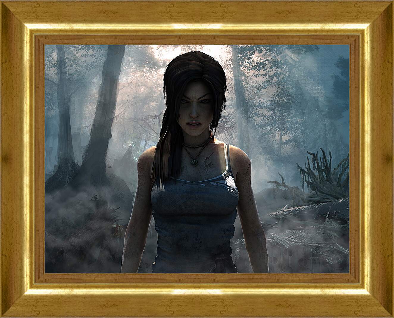 Картина в раме - Tomb Raider (2013)