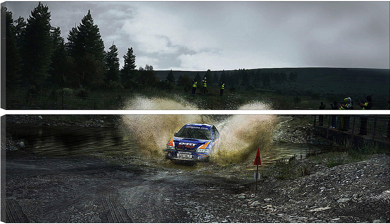 Модульная картина - DiRT Rally
