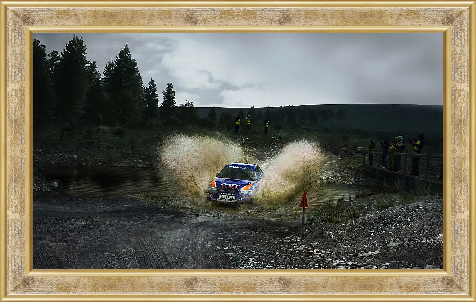 Картина в раме - DiRT Rally
